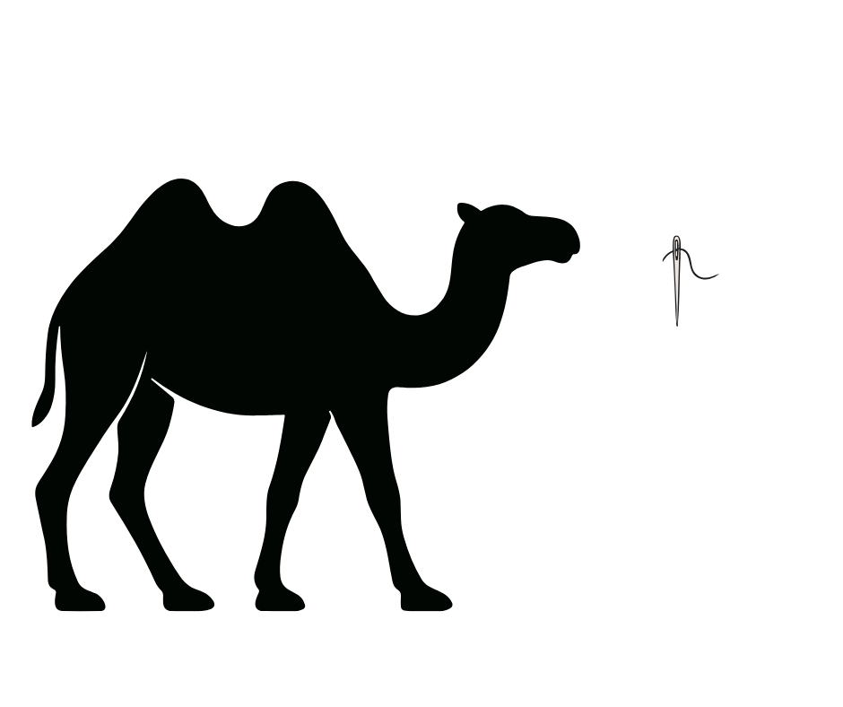 Picture of a camel