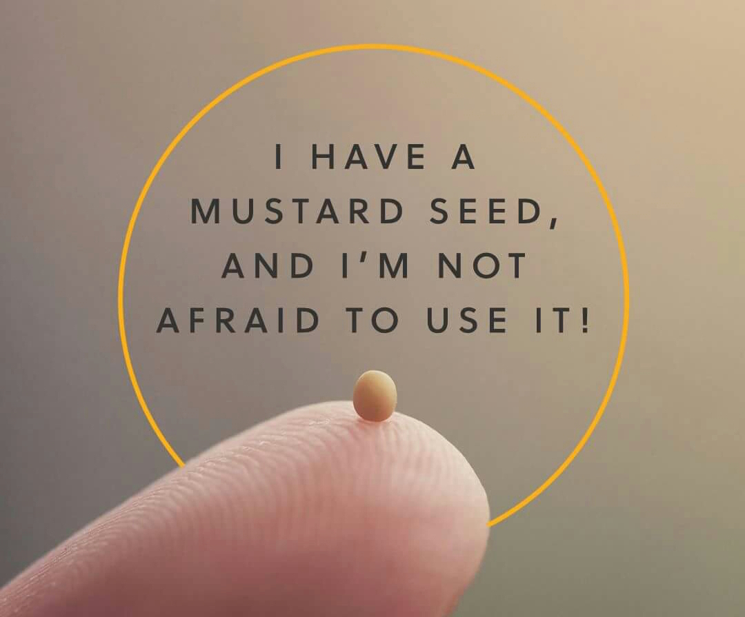 Mustard seed blog