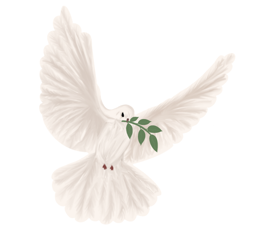 Picture of a dove in flight